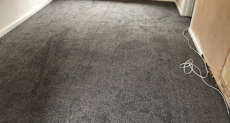 Mount Everest soft saxony carpet fitted Stockport