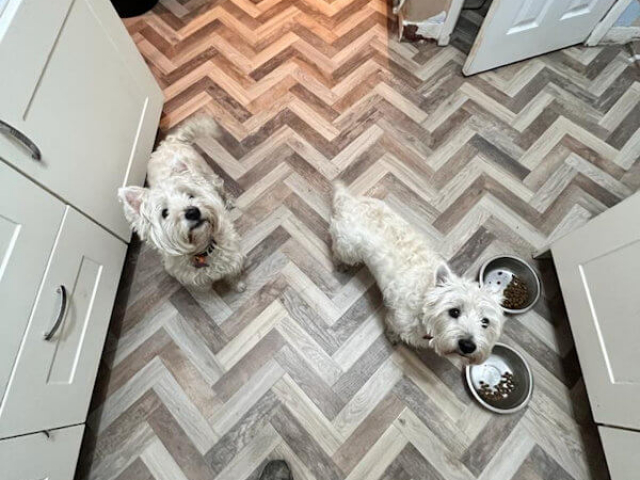 New Luxury Vinyl Flooring in Bredbury