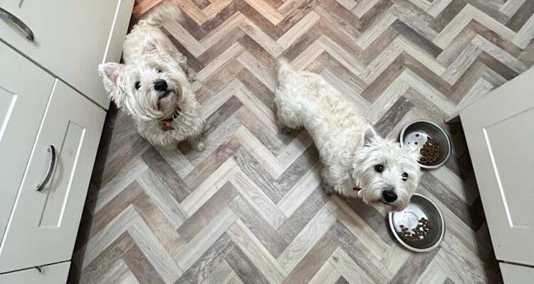 New Luxury Vinyl Flooring in Bredbury